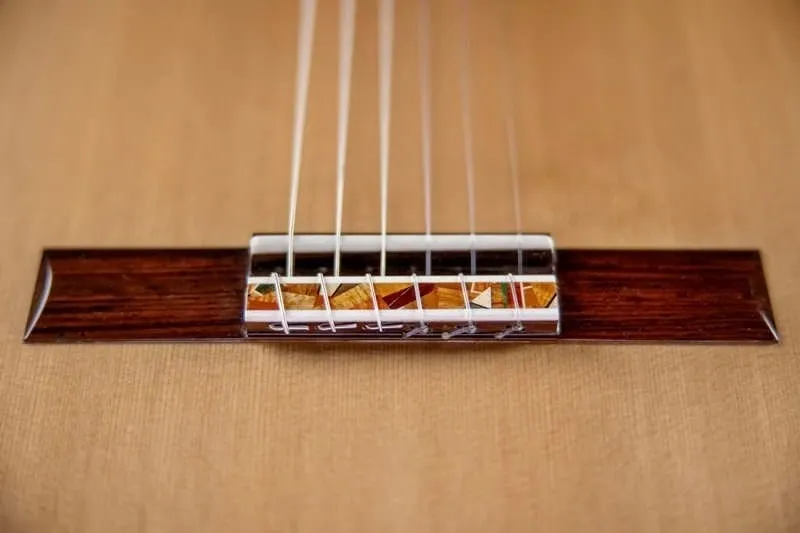 Six strings attached to the guitar point