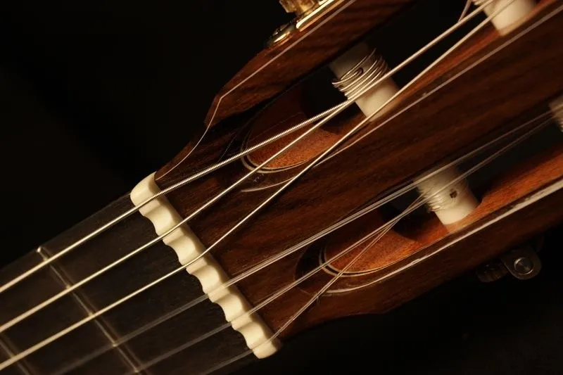 A beautiful shot of a guitar and its strings