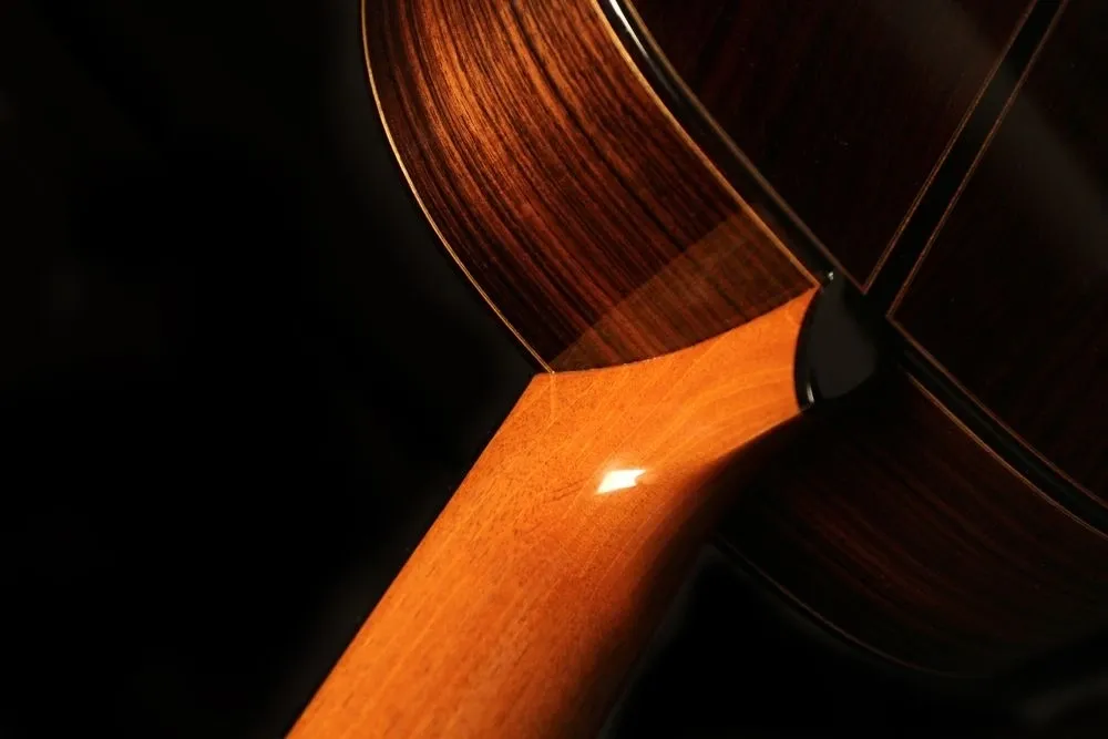 A beautiful picture of a polished guitar body