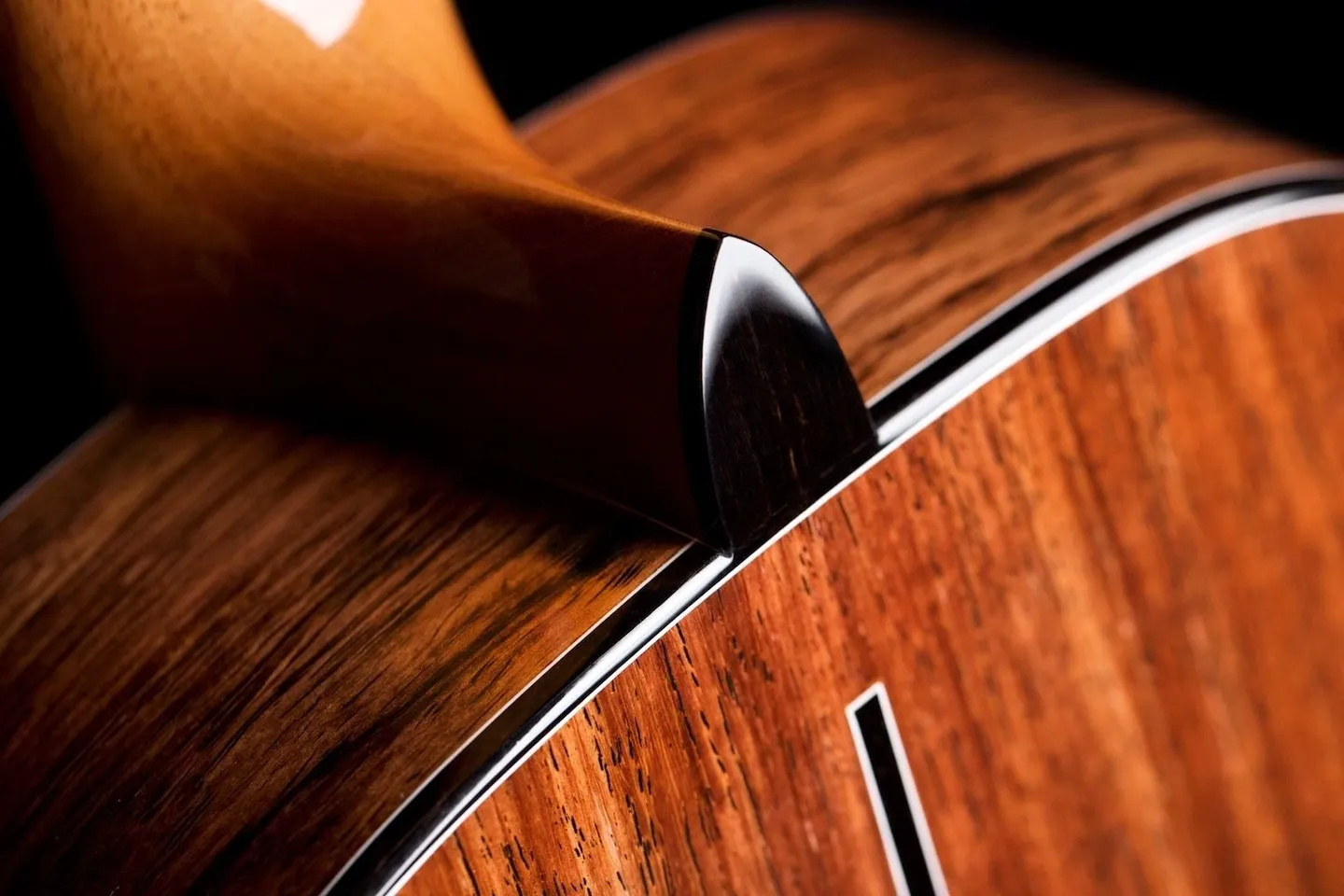 A close-up shot of the polished guitar